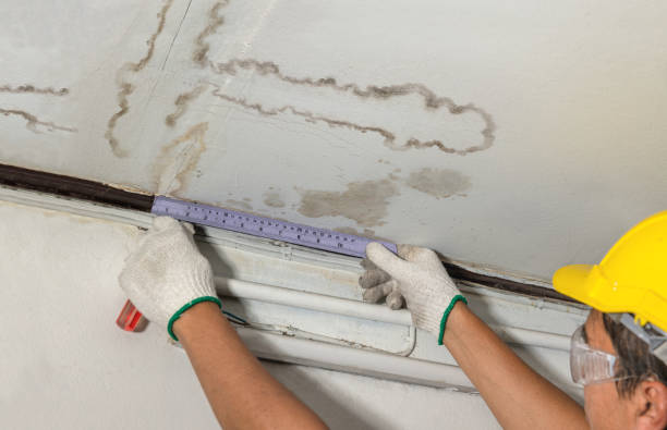 Reliable Water Damage contractor in Clyde, OH by Water Damage Irwin